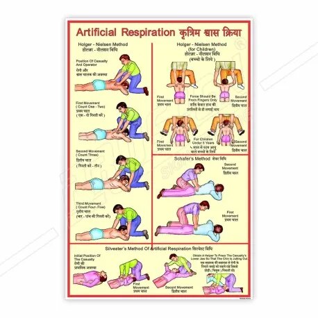 Artificial Reapiration (50x70cm) image 1