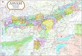 Assam Political Map (70x100cm) image 1