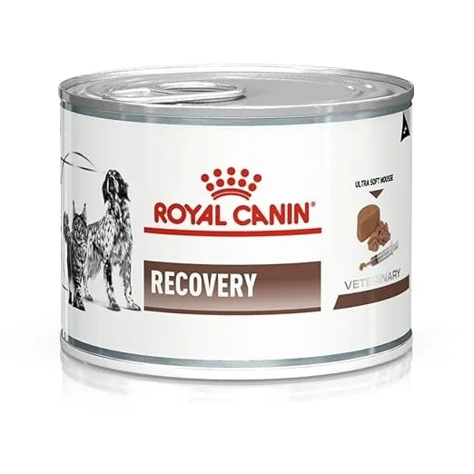 Royal Canin Recovery Bacon Liquid Can for Dogs and Cats, 195 g All Life Stages image 1