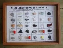 Mineral (Set of 30) in Showcase Polished Showcase image 1