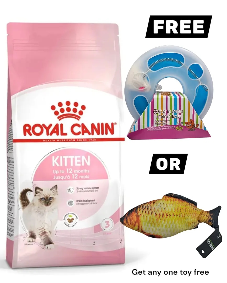 Royal Canin Second Age Kitten Cat Food 2KG image 1