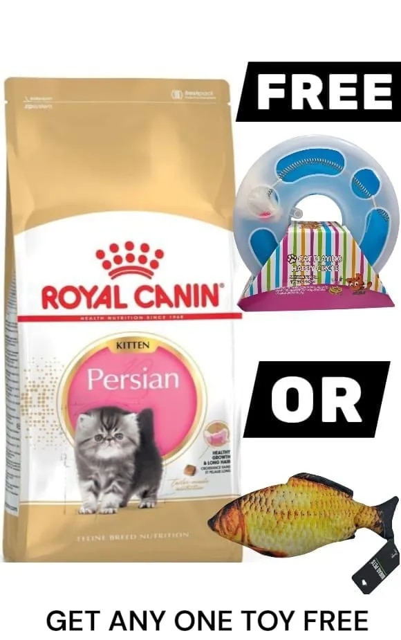 Royal Canin Persian Kitten Cat Food 2KG image 1