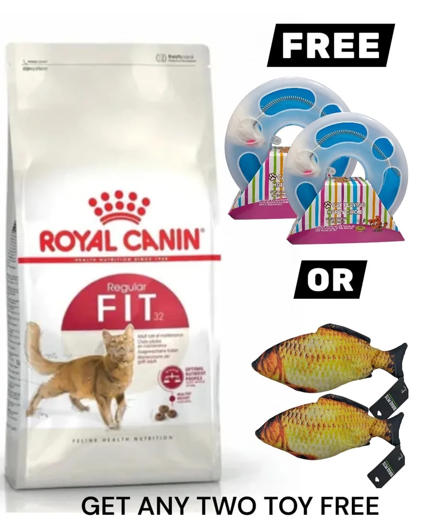 Royal Canin Fit 32 Regular Powder Adult Cat Dry Food, 4 Kg image 1