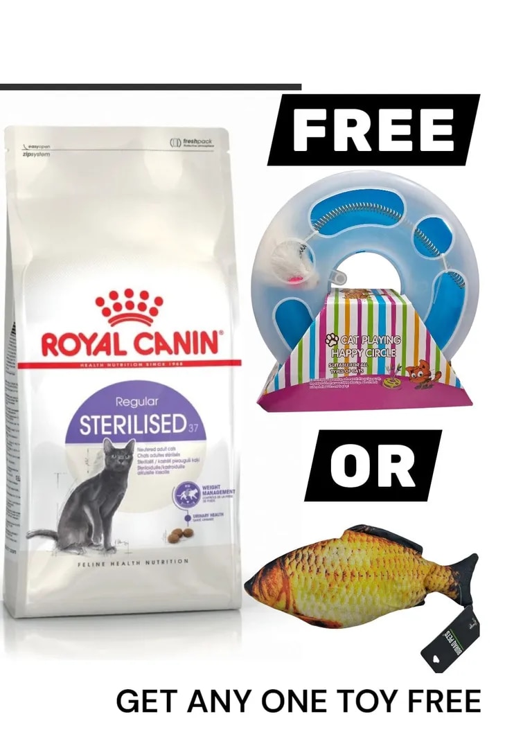 ROYAL CANIN REGULAR Sterilised 37 2KG image 1