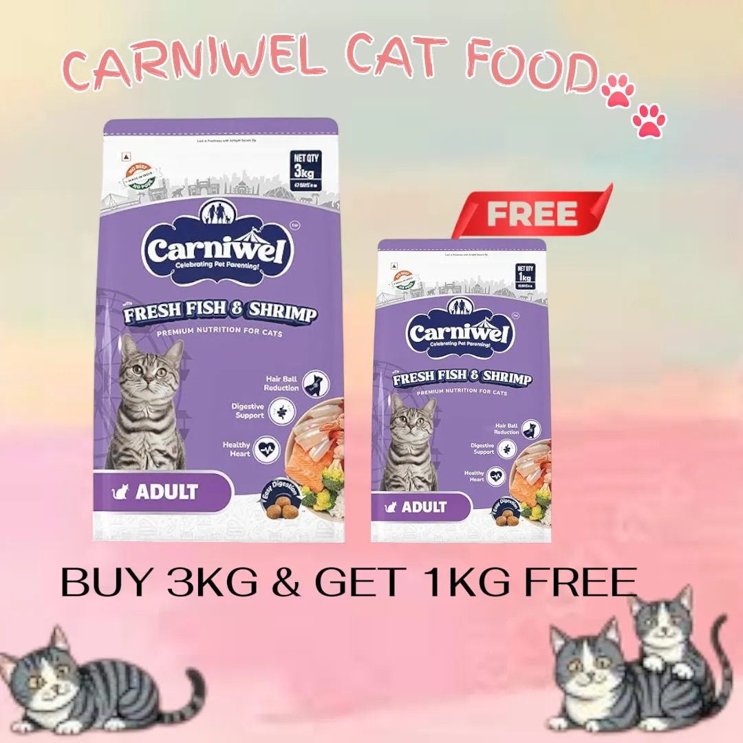 Fresh Fish & Shrimp Adult Dry Cat Food 3 Kg | Fresh & Natural Ingredients | Highly Palatable | Supports Healthy Skin & Glossy Coat | Premium Nutrition for Adult Cats image 1