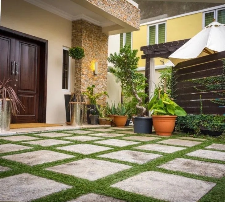 Garden Makeover and Planting Service in Chennai image 1