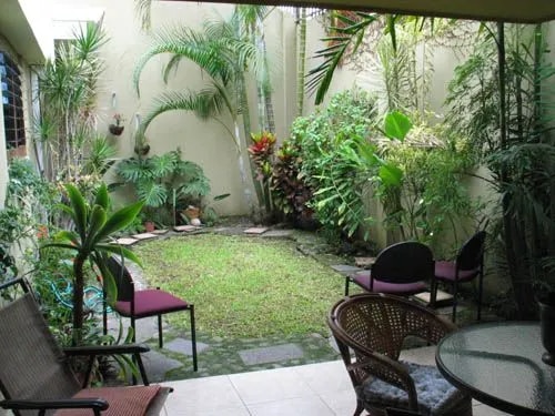 Chennai Indoor Plant Installation Service image 1