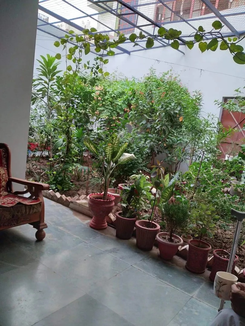 Indoor Garden Makeover Service Chennai image 1