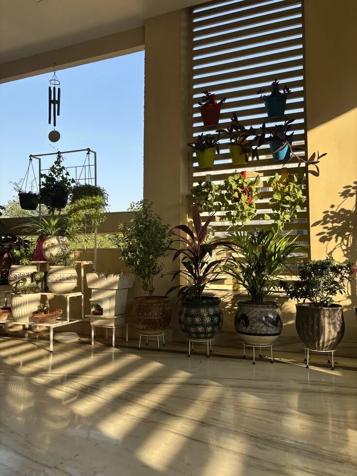 Indoor Garden Care Chennai image 1
