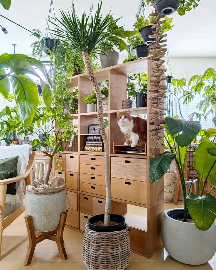Indoor Garden Decoration Service Chennai image 1