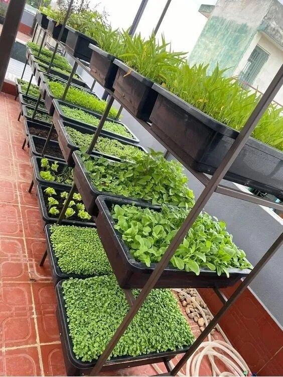 Indoor Gardening Service Packages Chennai image 1