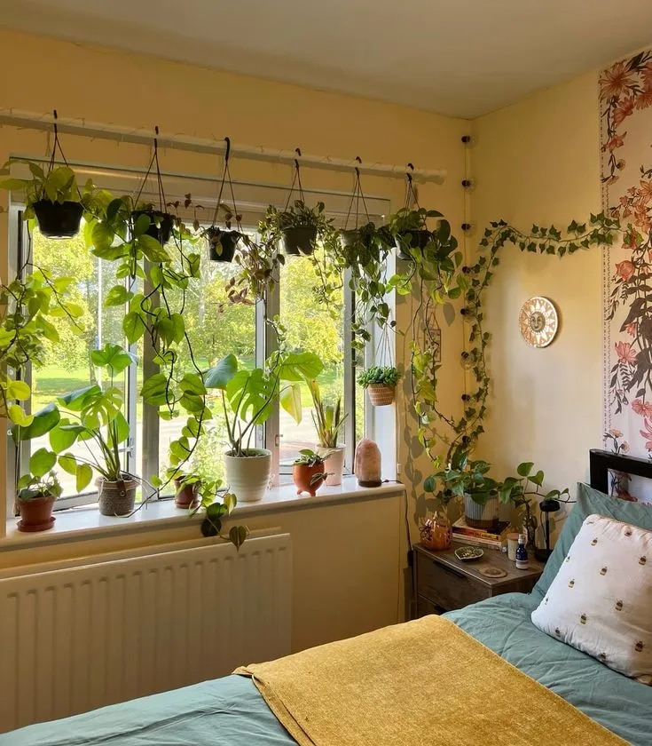 Indoor Plant Arrangement & Styling Chennai image 1