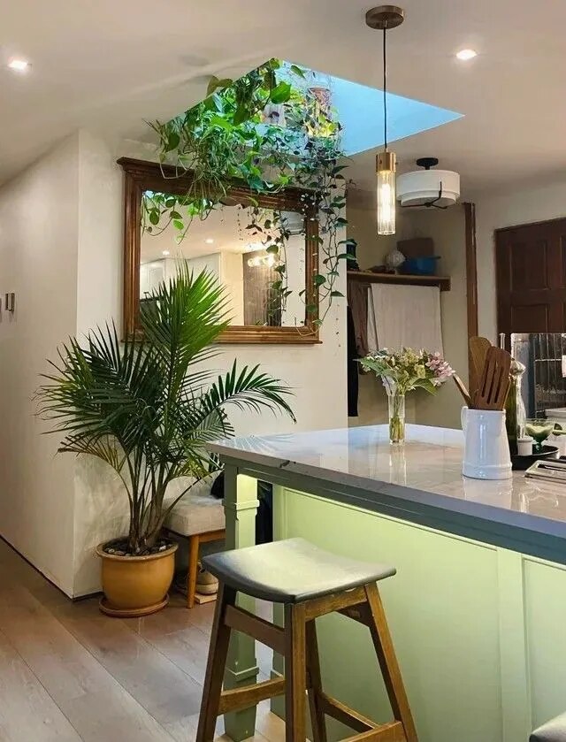 Top Indoor Garden Services Chennai image 1