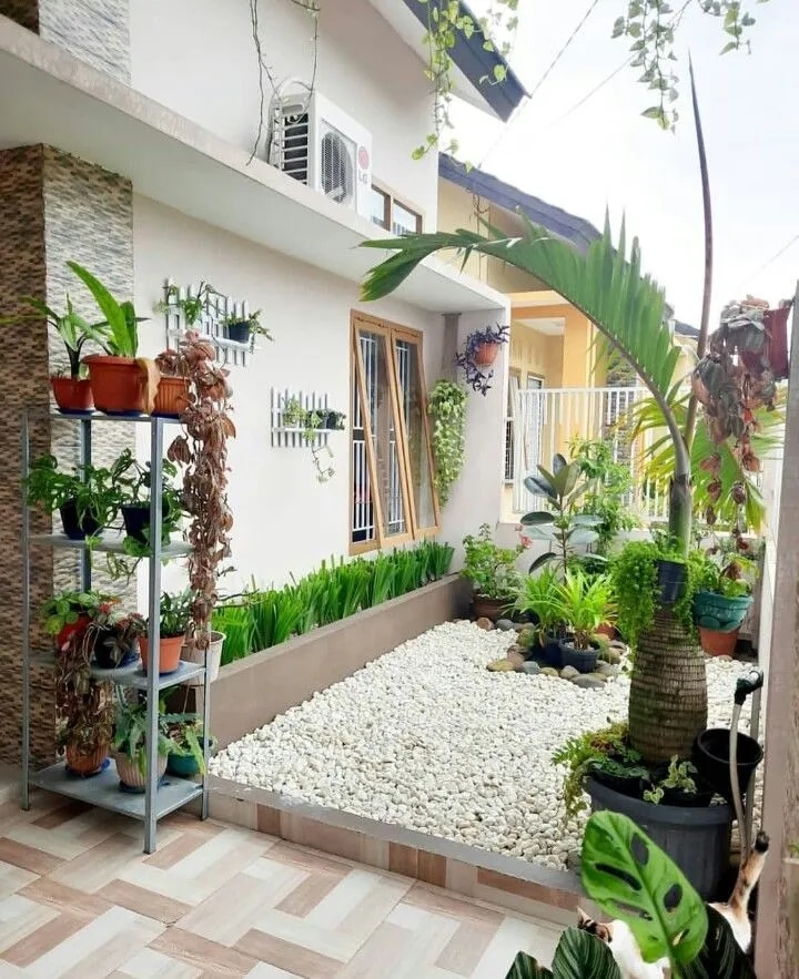 Outdoor Plants & Garden Makeover Service Chennai image 1
