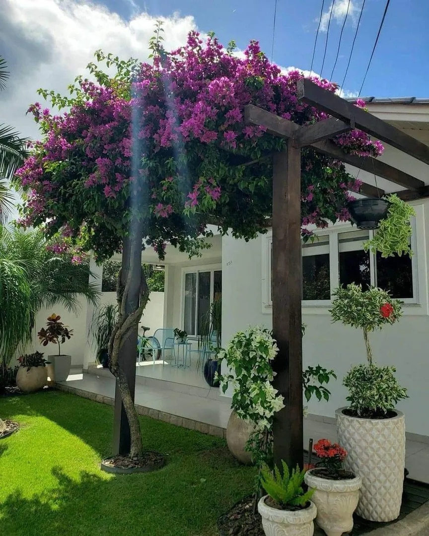 Modern Outdoor Garden Design Chennai image 1