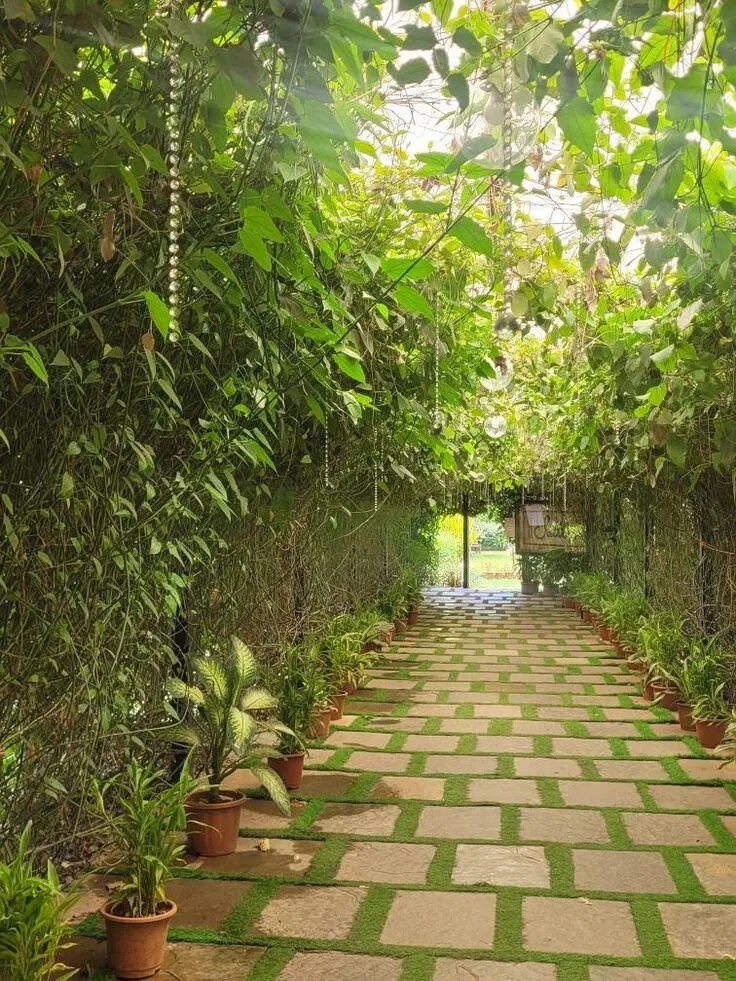 Best Frontyard Landscape Designers in Chennai image 1