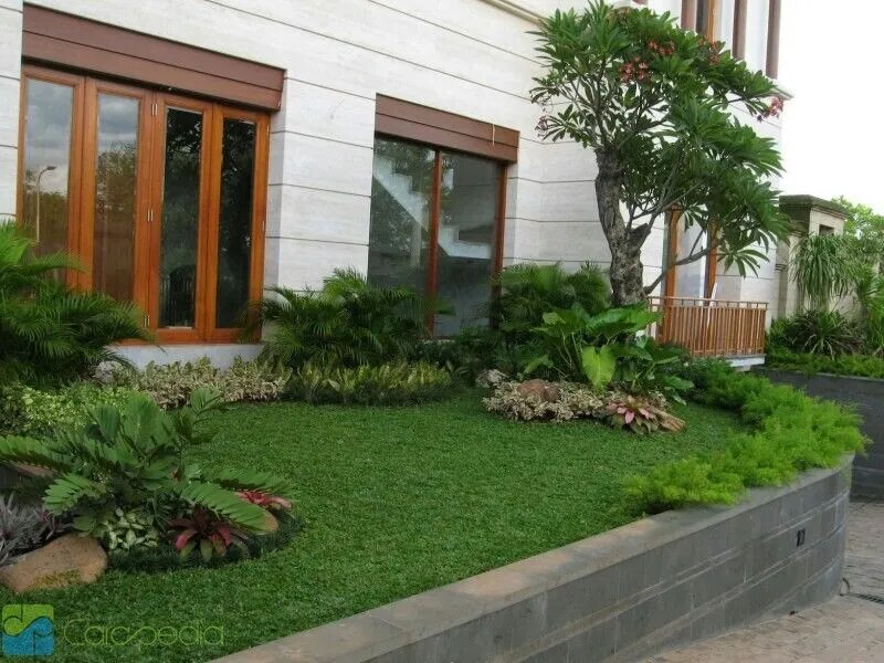 Best Frontyard Landscape Company in Chennai image 1