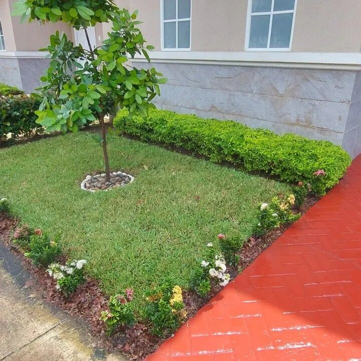 Frontyard Hedge & Shrub Design Chennai image 1