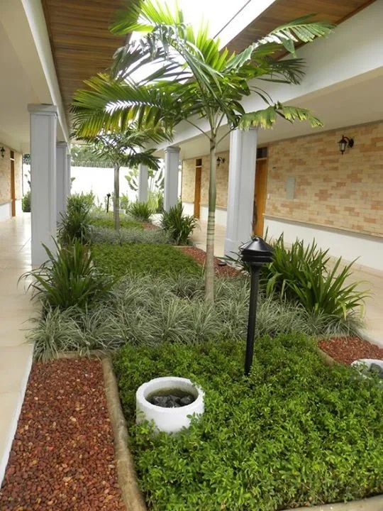 Backyard Landscaping and Maintenance Chennai image 1
