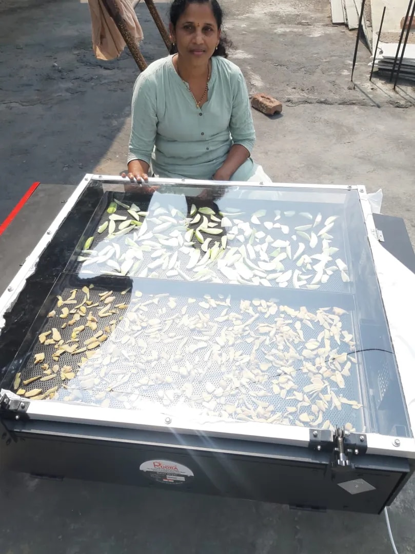 Solar Pineapple Dryer image 1