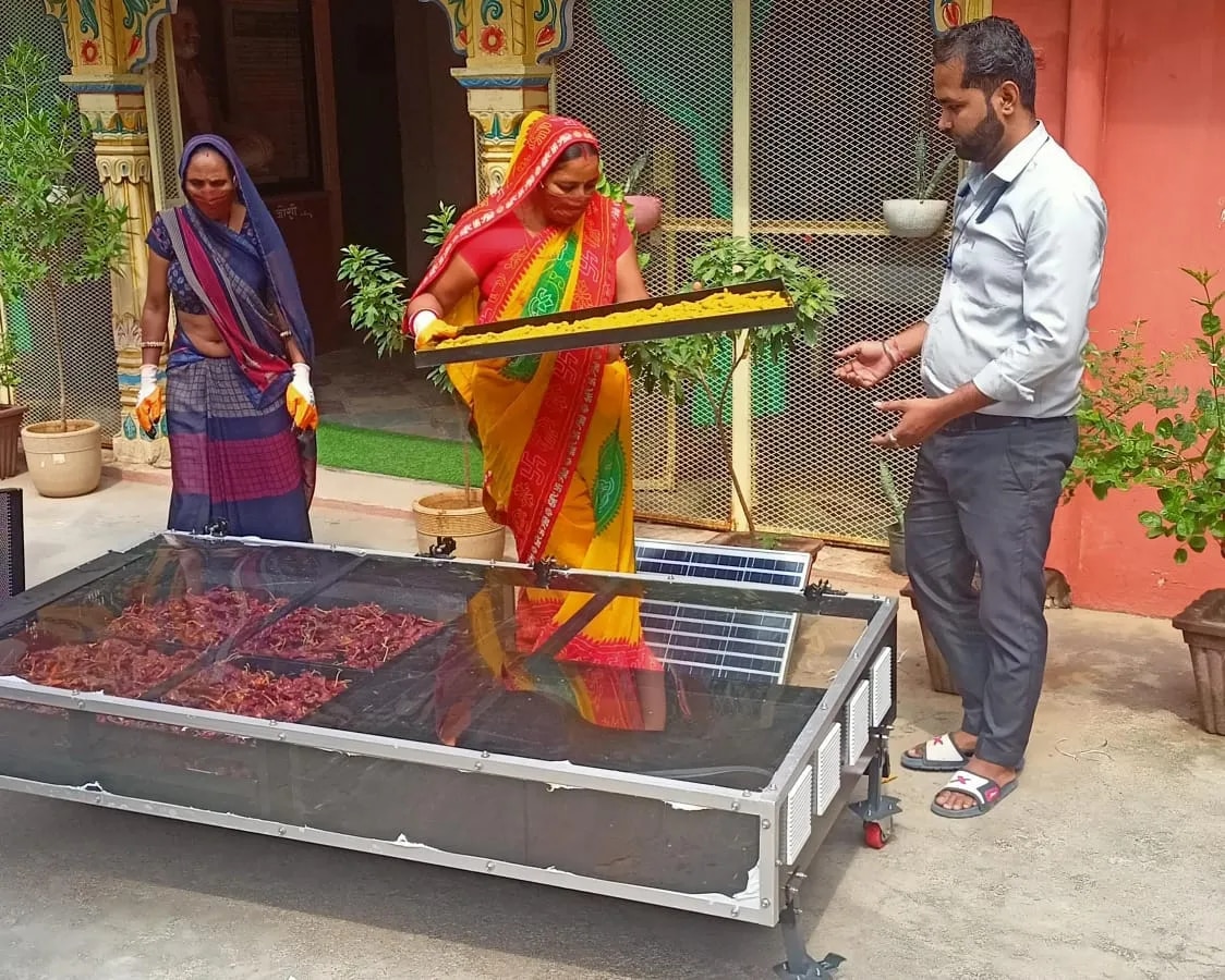 Solar Plum Dryer image 1