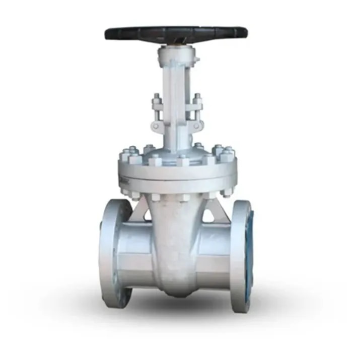 Mild Steel Gate Valves image 1