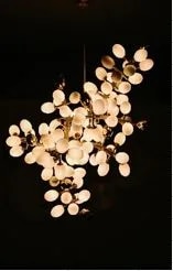 Chandelier image 1