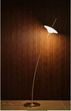 Floor Lamp image 1