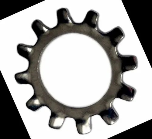 Stainless steel External Tooth Washer image 1