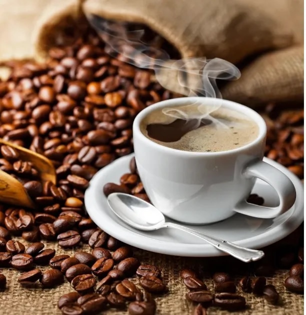 Godrej Premium Coffee Beans image 1
