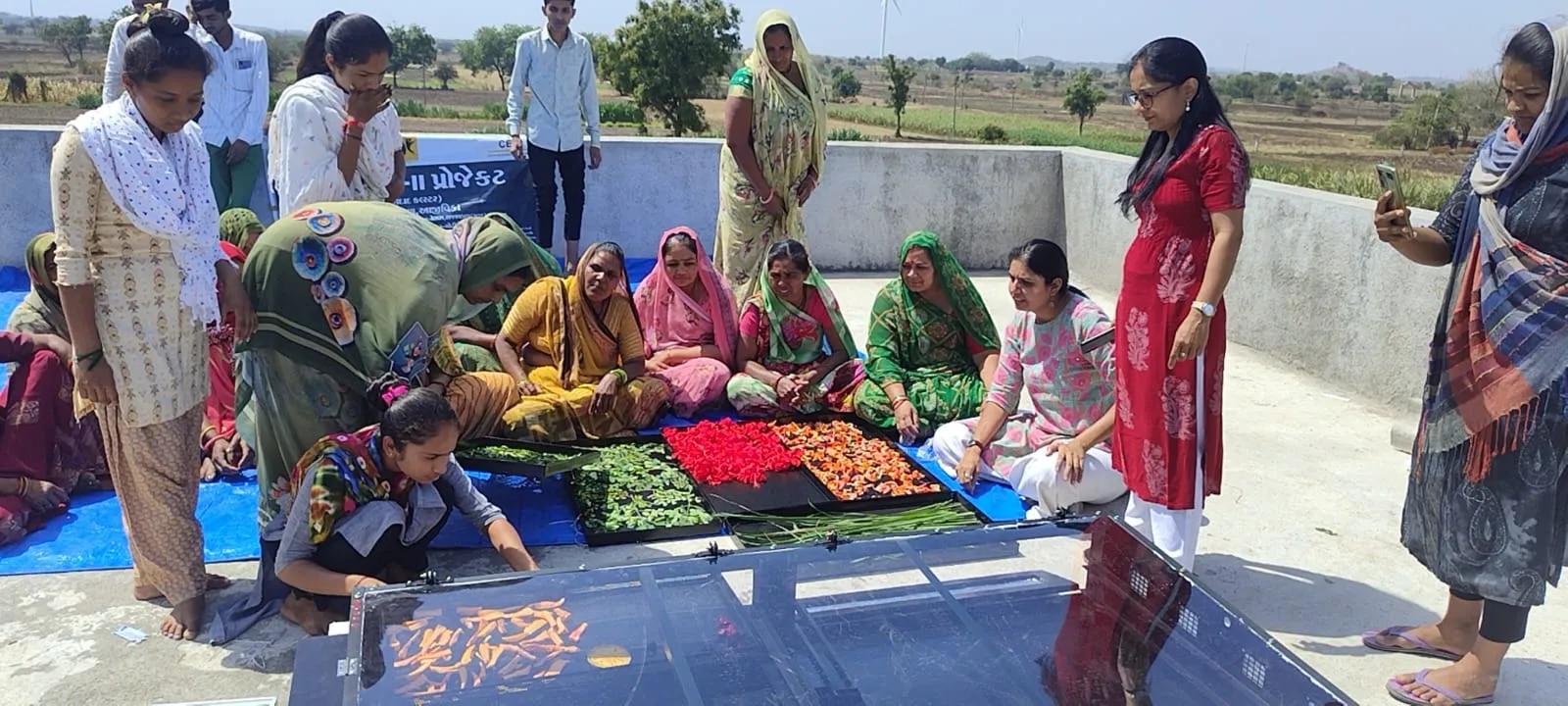 Solar Olive Dryer image 1