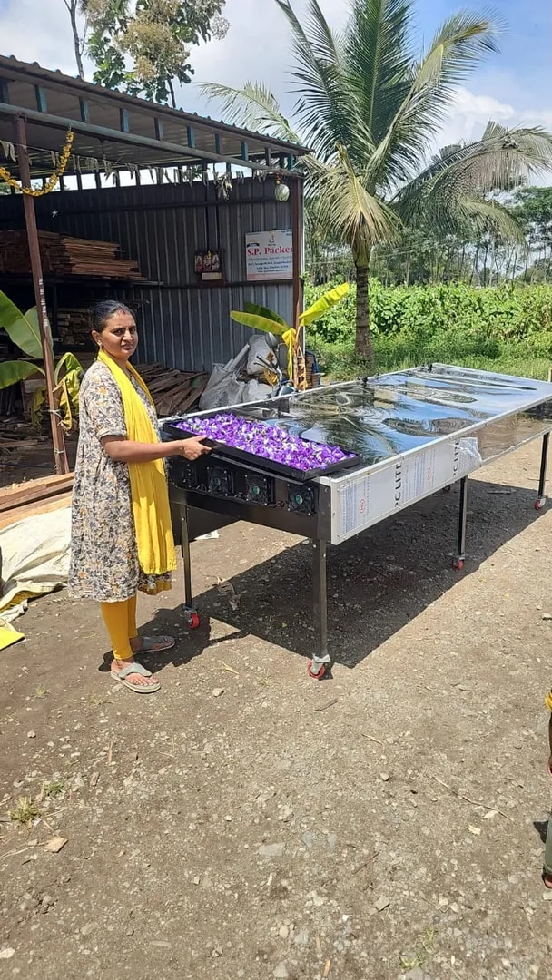 Solar Potato Dryer image 1