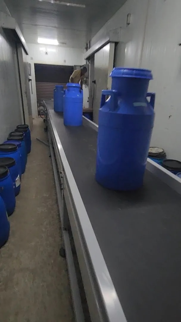 COLD STORAGE TRANSFER CONVEYOR image 1