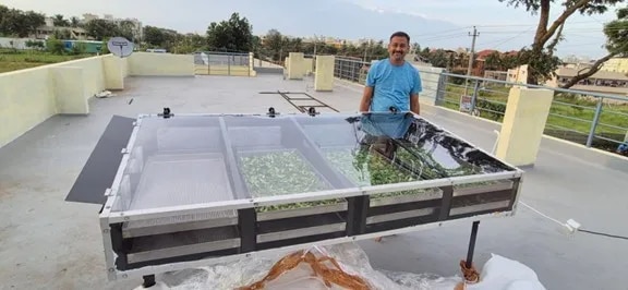 Solar Green Beans Dryer image 1
