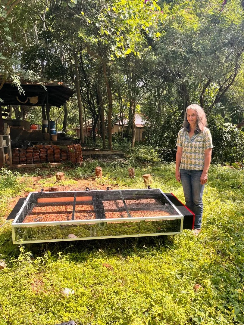 Solar Sweet Potato Dryer image 1