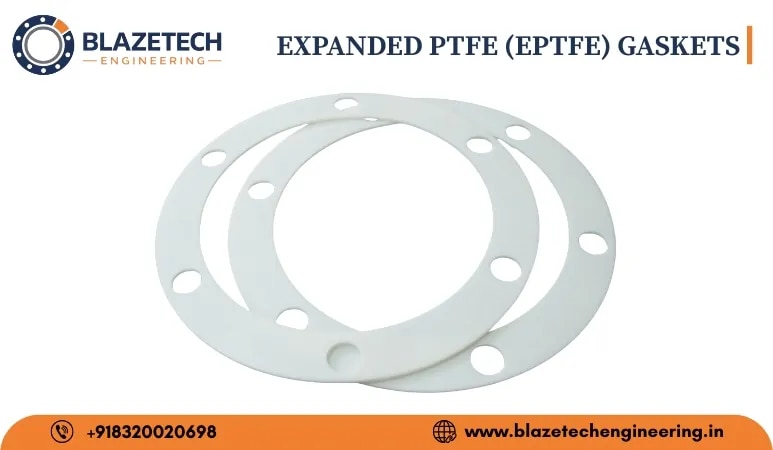 EXPANDED PTFE (EPTFE) GASKET image 1