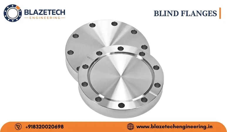 BLIND FLANGE image 1