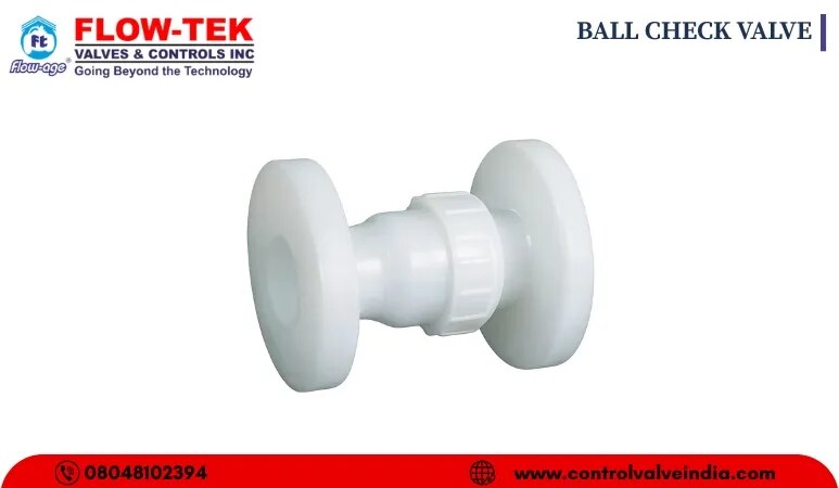 BALL CHECK VALVE image 1