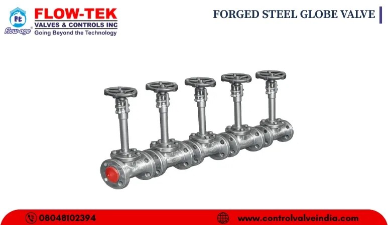 FORGED STEEL GLOBE VALVE image 1