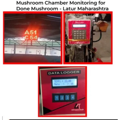 Mushroom Crop Health Monitoring image 1
