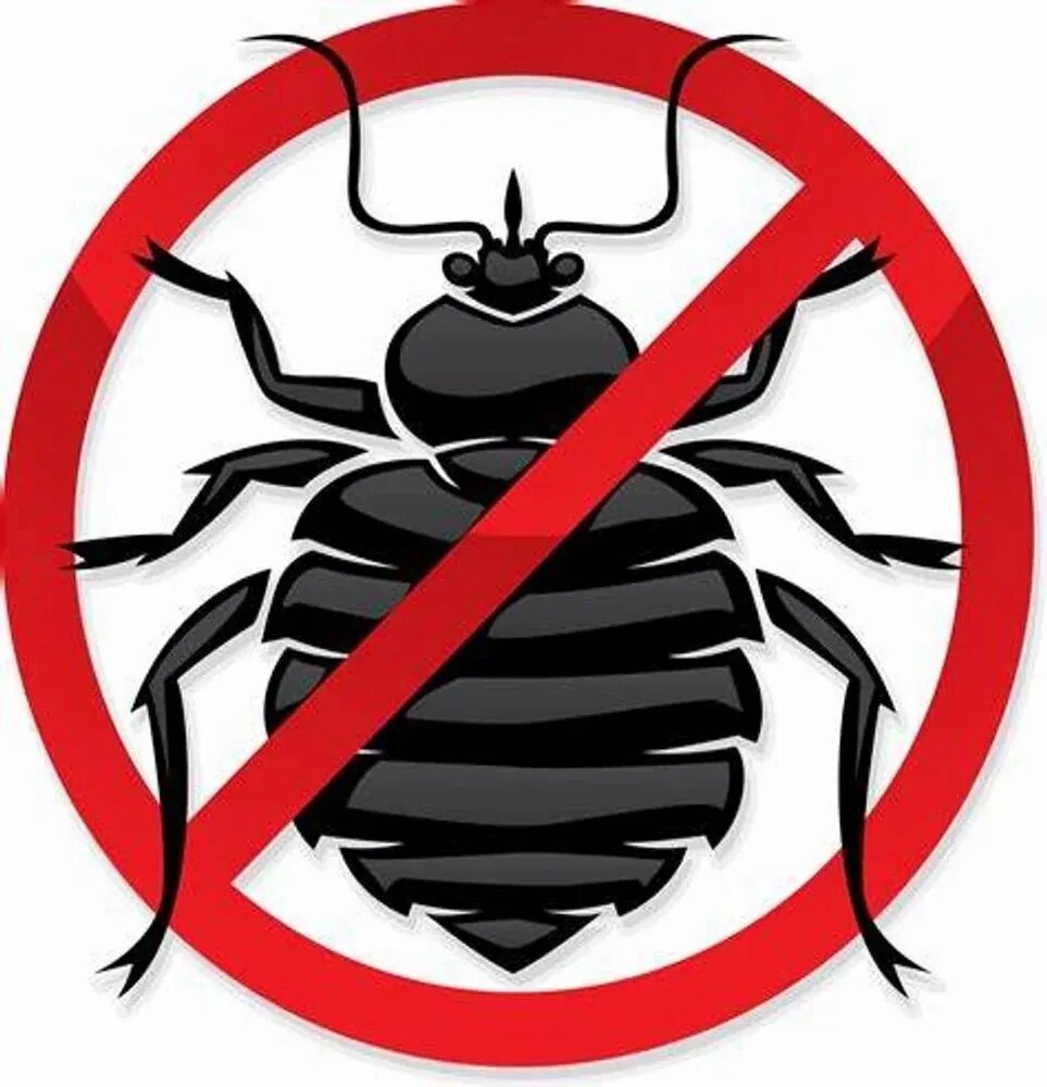 Bedbug Control image 1
