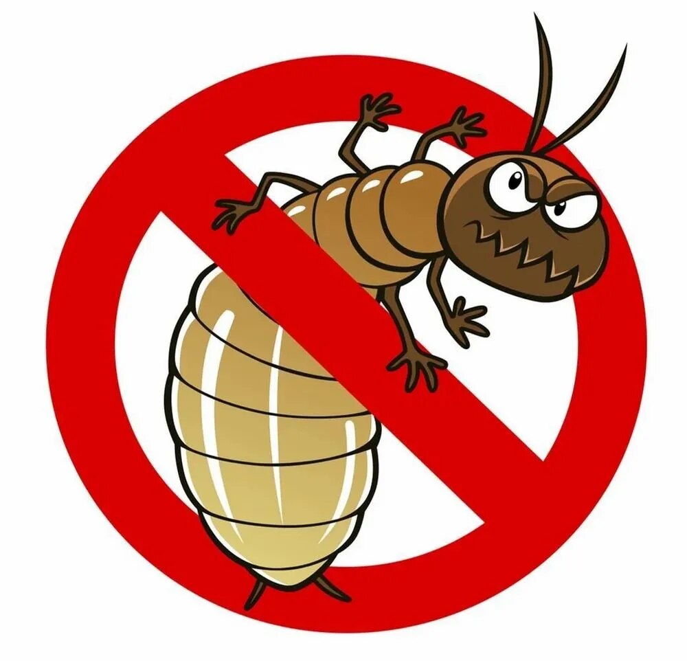 Termites Control image 1
