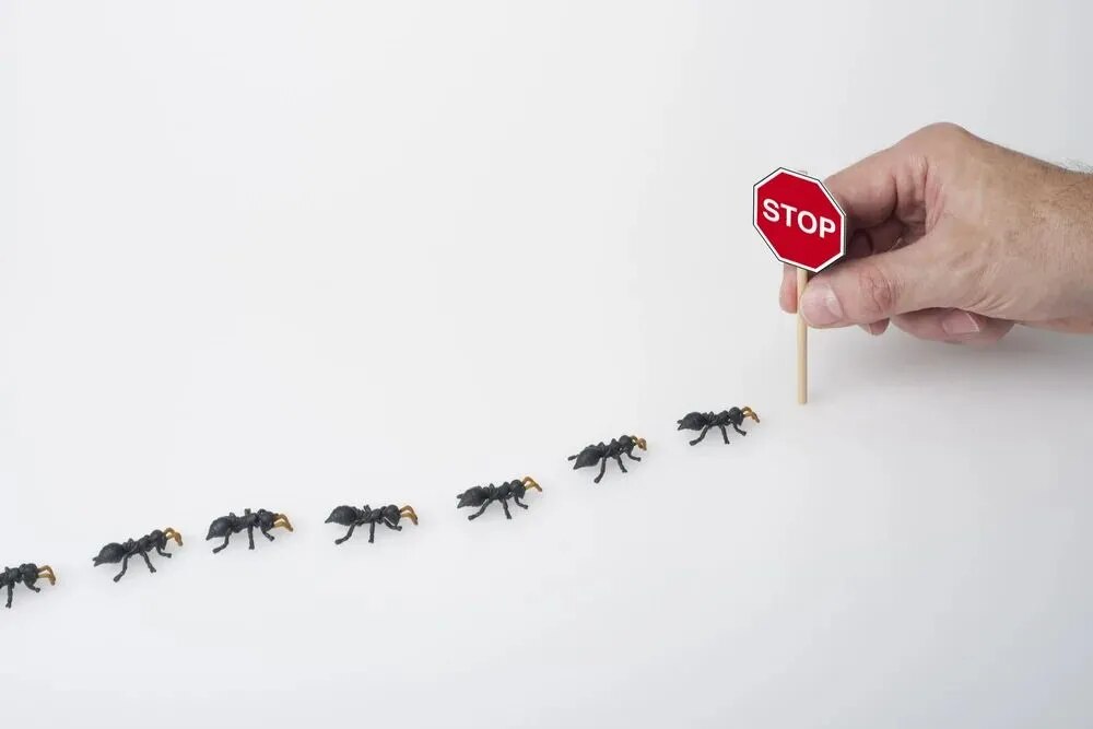 Ant Control image 1