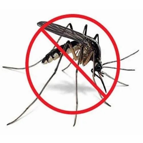 Mosquito Control image 1