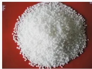 CALCIUM NITRATE image 1