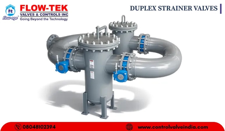 DUPLEX STRAINER VALVES image 1