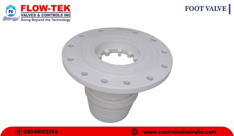 FOOT VALVE image 1