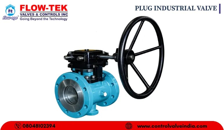 PLUG INDUSTRIAL VALVE image 1