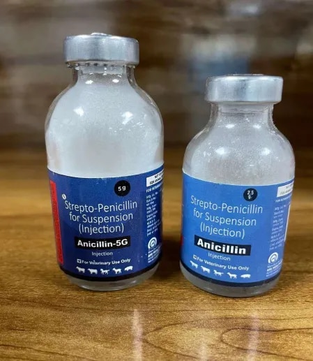 Anicillin-5G image 1