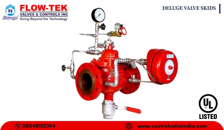 DELUGE SYSTEMS image 1